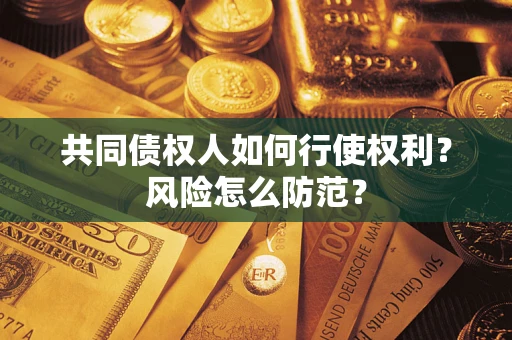 北京共同债权人如何行使权利？风险怎么防范？