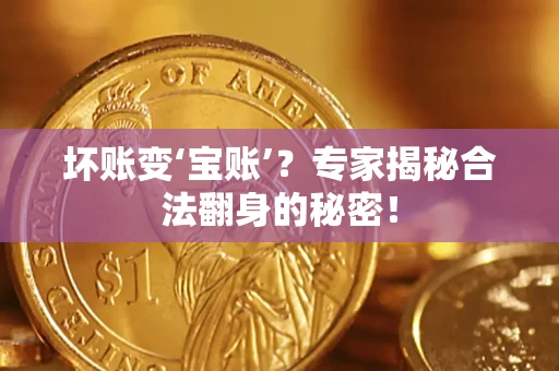 北京坏账变‘宝账’？专家揭秘合法翻身的秘密！