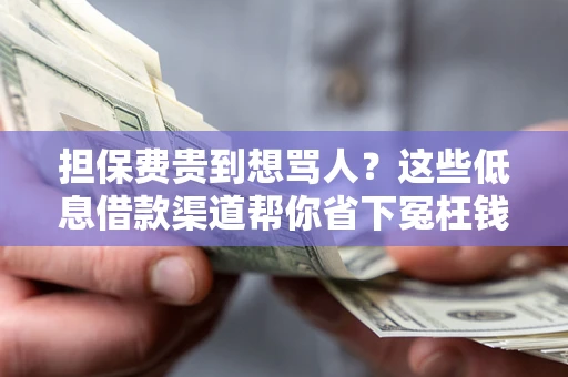 北京担保费贵到想骂人？这些低息借款渠道帮你省下冤枉钱