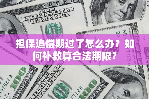 北京担保追偿期过了怎么办？如何补救算合法期限？