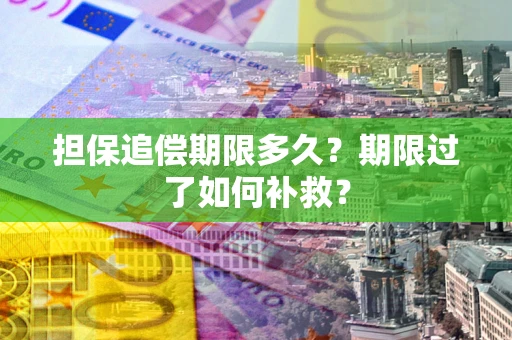 北京担保追偿期限多久？期限过了如何补救？
