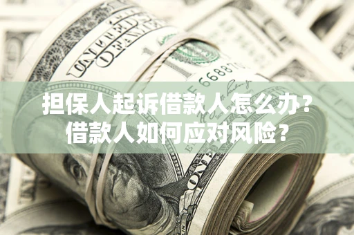 北京担保人起诉借款人怎么办？借款人如何应对风险？